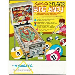 Big Shot Flyer